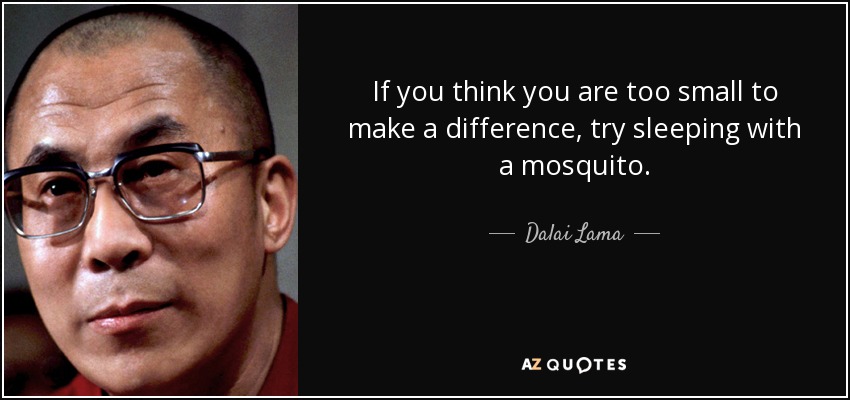 quote-if-you-think-you-are-too-small-to-make-a-difference-try-sleeping-with-a-mosquito-dalai-lama-34-57-08.jpg